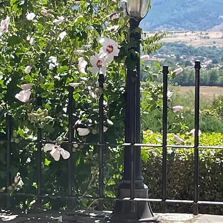 райска тишина Zlatitsa