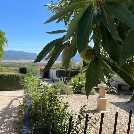 райска тишина * Zlatitsa