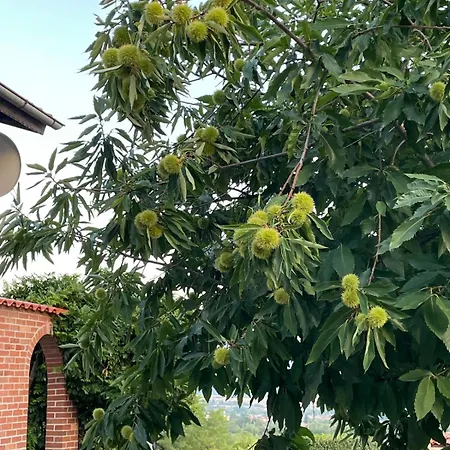 بيت للعطل райска тишина