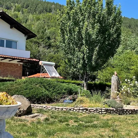 райска тишина *