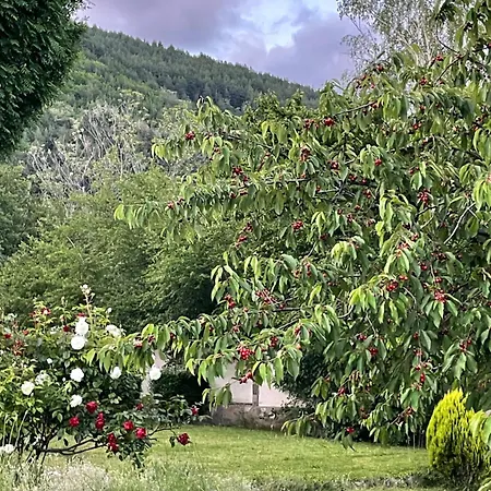 райска тишина 別荘
