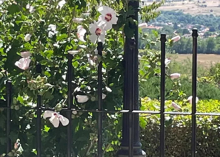 райска тишина Zlatitsa