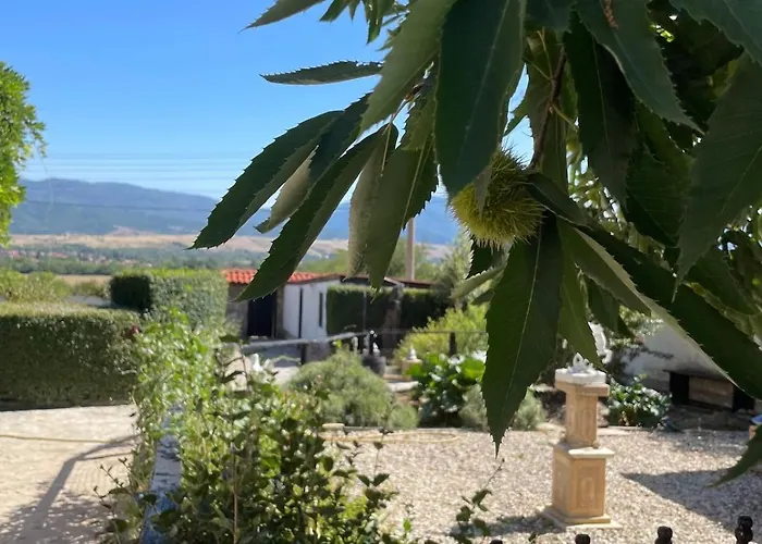 райска тишина * Zlatitsa