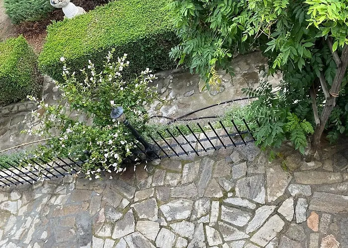 райска тишина *